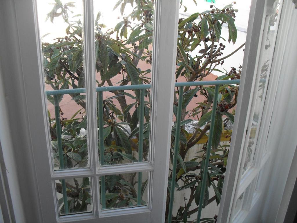 Casa Verde Ферейра до Алентежу Стая снимка